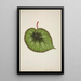 My Garden in Ceylon Pl175 - George De Alwis — framed artwork on a wall