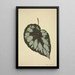 My Garden in Ceylon Pl176 - George De Alwis — framed artwork on a wall
