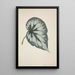 My Garden in Ceylon Pl177 - George De Alwis — framed artwork on a wall