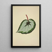 Mon Jardin à Ceylan Pl178 - George De Alwis — framed artwork on a wall
