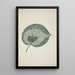 My Garden in Ceylon Pl179 - George De Alwis — framed artwork on a wall