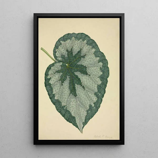George De Alwis - Mon Jardin a Ceylan Pl181.webp