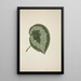 My Garden in Ceylon Pl183 - George De Alwis — framed artwork on a wall