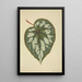 Mon Jardin à Ceylan Pl185 - George De Alwis — framed artwork on a wall