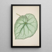 Mon Jardin à Ceylan Pl188 - George De Alwis — framed artwork on a wall