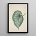Mon Jardin à Ceylan Pl192 - George De Alwis — framed artwork on a wall