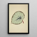 Mon Jardin à Ceylan Pl195 - George De Alwis — framed artwork on a wall