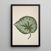 Mon Jardin à Ceylan Pl199 - George De Alwis — framed artwork on a wall