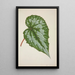 Mon Jardin à Ceylan Pl201 - George De Alwis — framed artwork on a wall