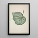 Mon Jardin à Ceylan Pl202 - George De Alwis — framed artwork on a wall