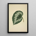My Garden in Ceylon Pl203 - George De Alwis — framed artwork on a wall