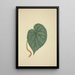 Mon Jardin à Ceylan Pl204 - George De Alwis — framed artwork on a wall