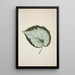 Mon Jardin à Ceylan Pl206 - George De Alwis — framed artwork on a wall