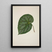 Mon Jardin à Ceylan Pl209 - George De Alwis — framed artwork on a wall