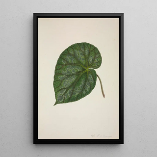 George De Alwis - Mon Jardin a Ceylan Pl209.webp