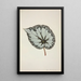 Mon Jardin à Ceylan Pl210 - George De Alwis — framed artwork on a wall
