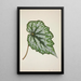 My Garden in Ceylon Pl217 - George De Alwis — framed artwork on a wall