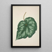 Mon Jardin à Ceylan Pl218 - George De Alwis — framed artwork on a wall