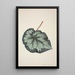 Mon Jardin à Ceylan Pl219 - George De Alwis — framed artwork on a wall