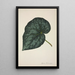 Mon Jardin à Ceylan Pl221 - George De Alwis — framed artwork on a wall