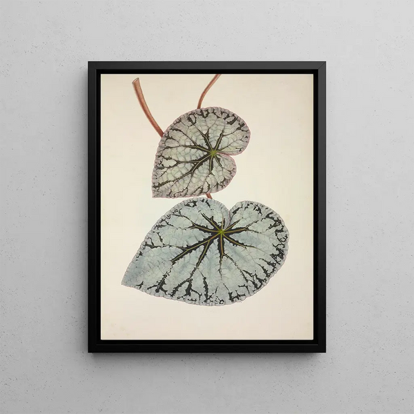 George De Alwis - Mon Jardin a Ceylan Pl224.webp