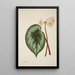 Mon Jardin à Ceylan Pl225 - George De Alwis — framed artwork on a wall