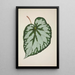 Mon Jardin à Ceylan Pl228 - George De Alwis — framed artwork on a wall