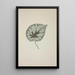 My Garden in Ceylon Pl229 - George De Alwis — framed artwork on a wall