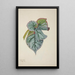 Mon Jardin à Ceylan Pl233 - George De Alwis — framed artwork on a wall
