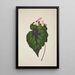My Garden in Ceylon Pl234 - George De Alwis — framed artwork on a wall