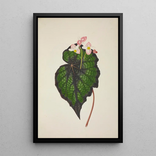 George De Alwis - Mon Jardin a Ceylan Pl234.webp