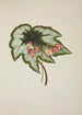 My Garden in Ceylon Pl235 - George De Alwis — artwork view