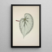 Mon Jardin à Ceylan Pl238 - George De Alwis — framed artwork on a wall