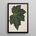 Mon Jardin à Ceylan Pl240 - George De Alwis — framed artwork on a wall