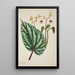 Mon Jardin à Ceylan Pl247 - George De Alwis — framed artwork on a wall