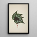 My Garden in Ceylon Pl251 - George De Alwis — framed artwork on a wall