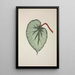 My Garden in Ceylon Pl254 - George De Alwis — framed artwork on a wall