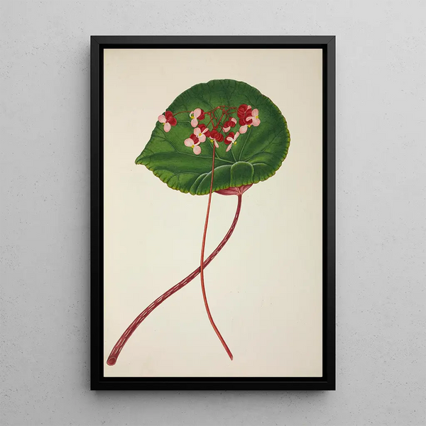 George De Alwis - Mon Jardin a Ceylan Pl255.webp