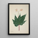 Mon Jardin à Ceylan Pl260 - George De Alwis — framed artwork on a wall