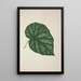 My Garden in Ceylon Pl261 - George De Alwis — framed artwork on a wall
