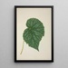 Mon Jardin à Ceylan Pl262 - George De Alwis — framed artwork on a wall