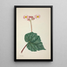 My Garden in Ceylon Pl263 - George De Alwis — framed artwork on a wall
