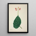 Mon Jardin à Ceylan Pl266 - George De Alwis — framed artwork on a wall