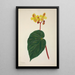 Mon Jardin à Ceylan Pl268 - George De Alwis — framed artwork on a wall