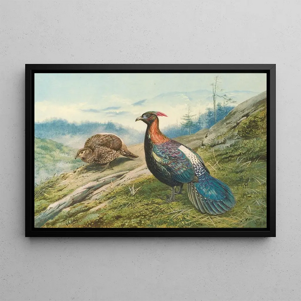 George Edward Lodge - Chinese Impeyan Pheasant.webp