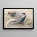 Hainan Silver Kaleege Painting - George Edward Lodge — framed artwork on a wall