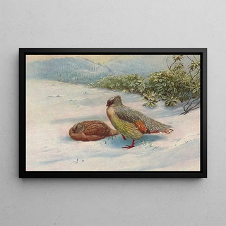 George Edward Lodge - Northern Blood Partridge.webp