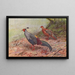 Lophure Siamois - George Edward Lodge — framed artwork on a wall