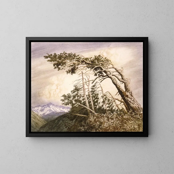 Huis van de wind n° 2 - George Elbert Burr — ingelijst kunstwerk aan de muur