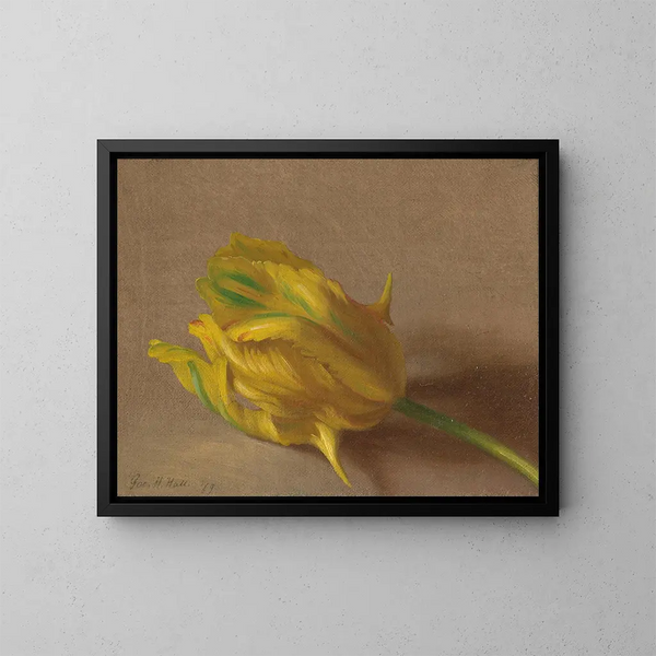 Tulip - George Henry Hall — ingelijst kunstwerk aan de muur